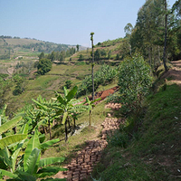 Photo de Rwanda - Chez le grand-papa